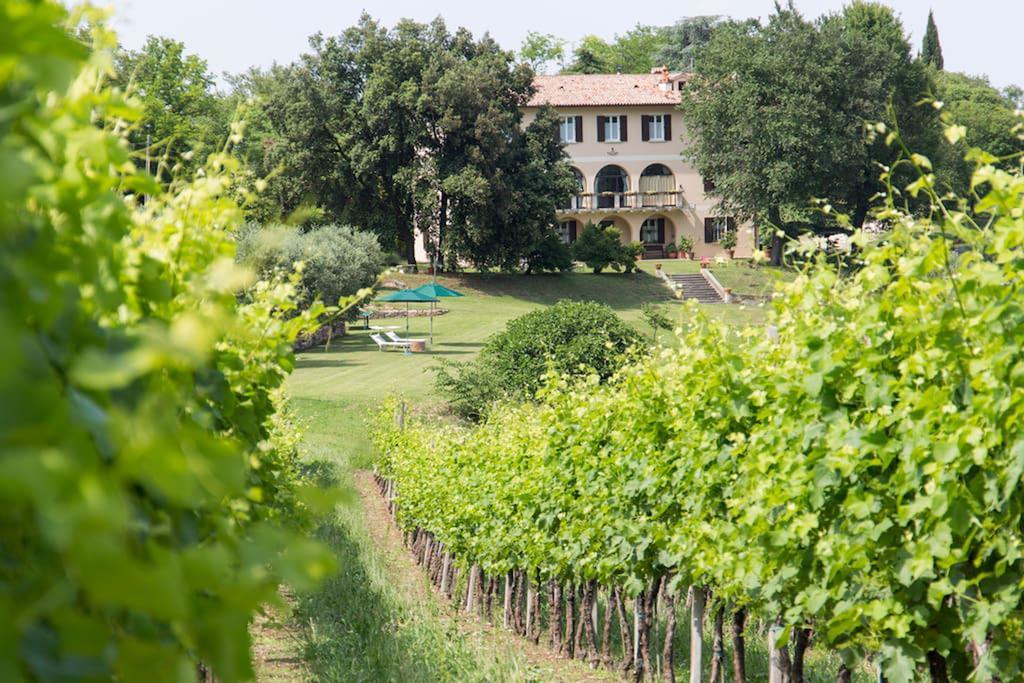 Villa Marani Rovolon Buitenkant foto